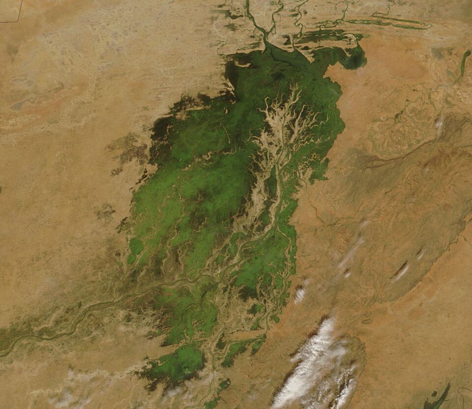 NASA view of the Inland Niger Delta in 2007: shifting flood channels sustain fishing, grazing and African rice economies older than colonial irrigation.