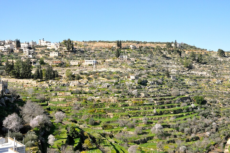 Battir’s cultivated terraces photographed in 2015 by Labour Palestine: community-tended irrigation and an occupied landscape with a history.