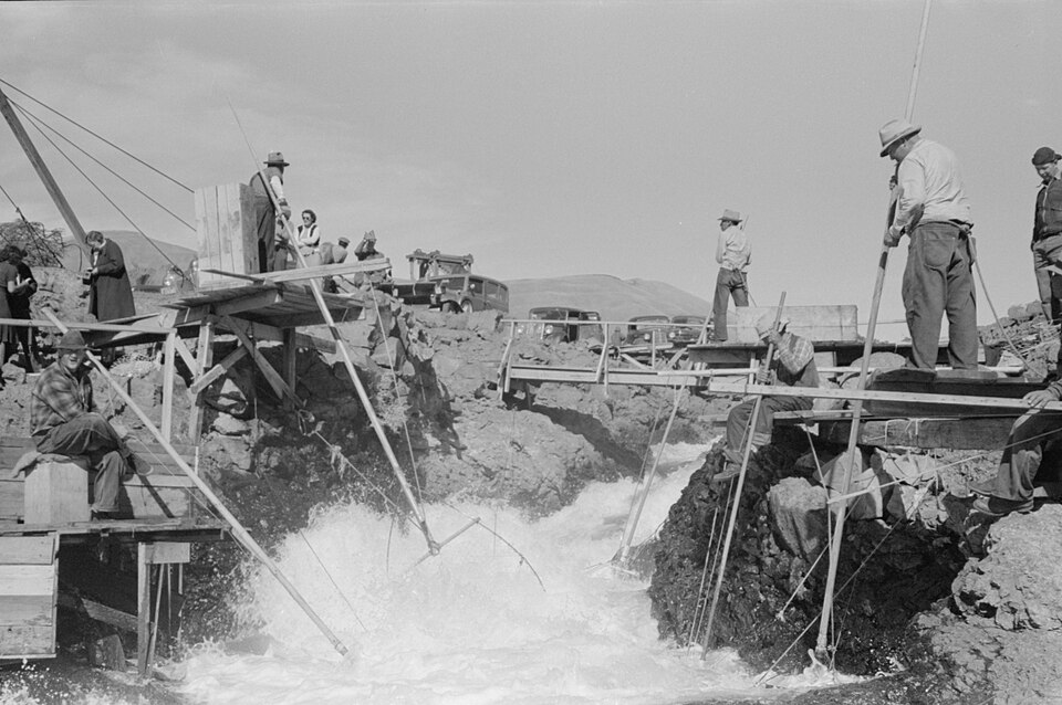 Indigenous salmon fishers at Celilo Falls photographed by Russell Lee in 1941, decades before the site was submerged by The Dalles Dam.