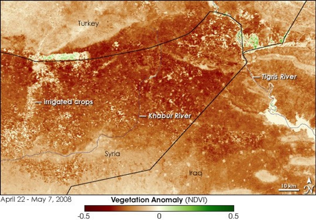 NASA MODIS vegetation anomaly image of the 2008 drought in northeastern Syria and northern Iraq, showing widespread brown areas of stressed vegetation